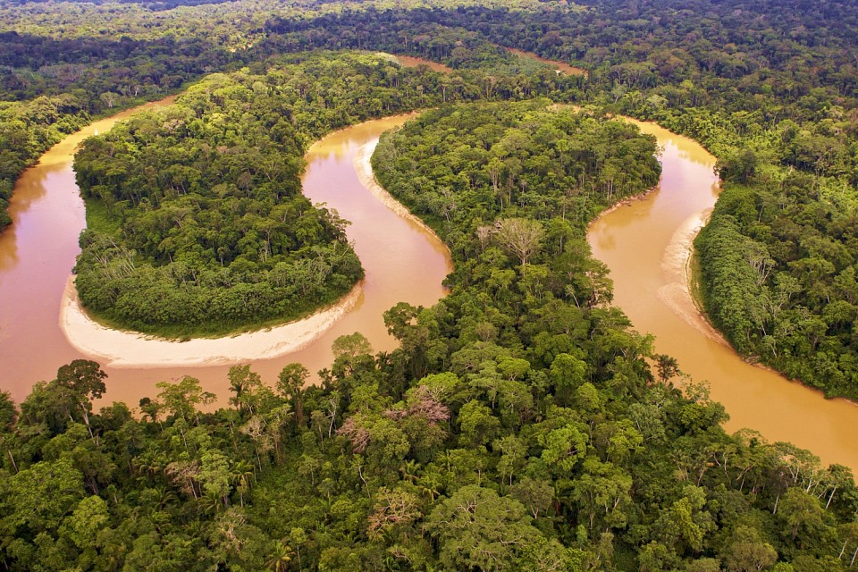 Pentingnya Hutan Amazon